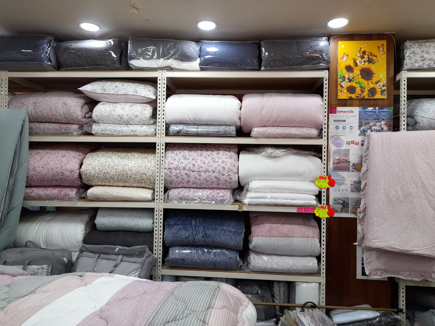 /user/p/pogni/editor/2402/89ebaa79350a6755906668ffb010076c_1706726506_7539.jpg 이미지크게보기